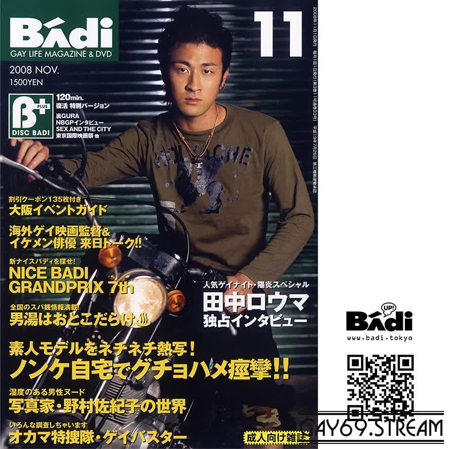 【BADI-200811D】Disc BAdi 2010 № 11